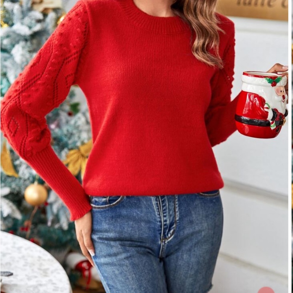 NWT Shein Solid Bishop Sleeve Sweater Red